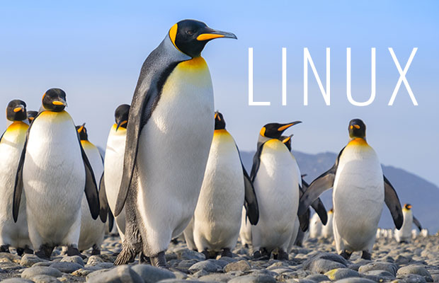 AryaLinux Offers The Building Blocks For a Single Linux Experience